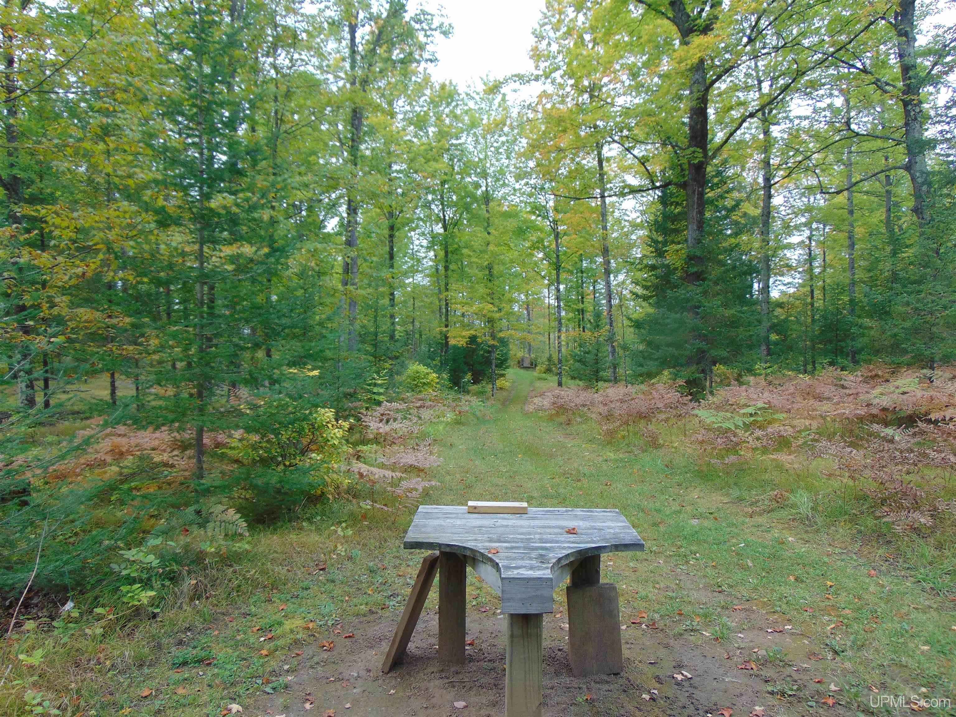 2792 County Line Road Vulcan, MI 49892 - Photo 95 of 99