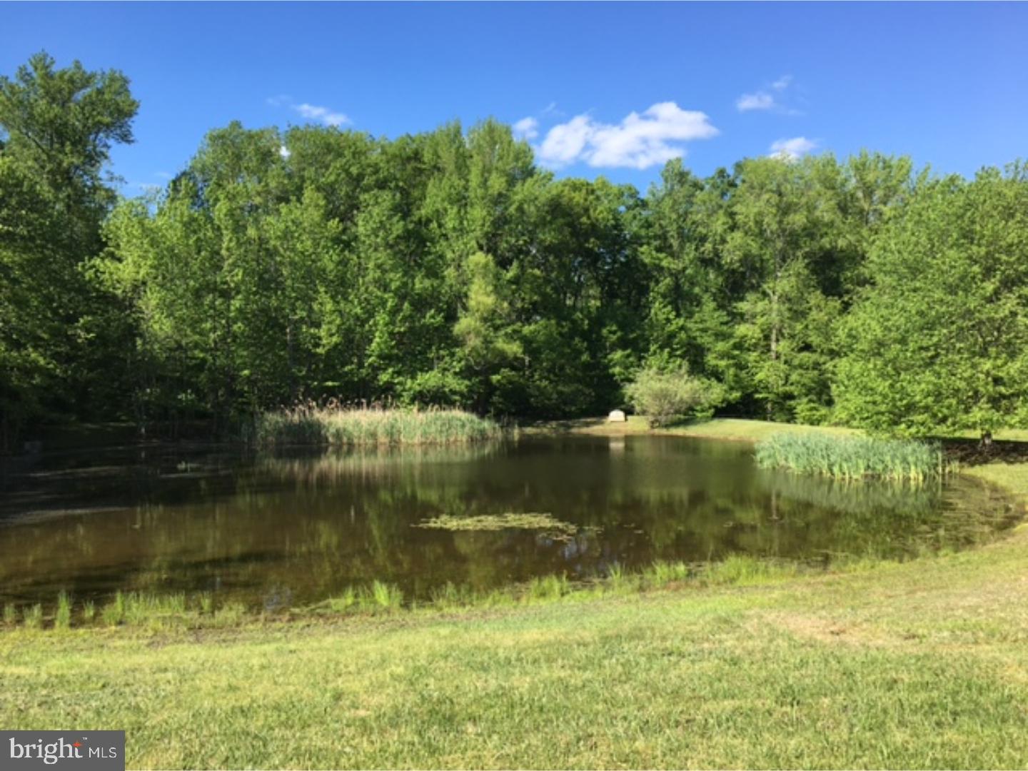 565 Cherry Grove Road Earleville, MD 21919 - Photo 17 of 19 View