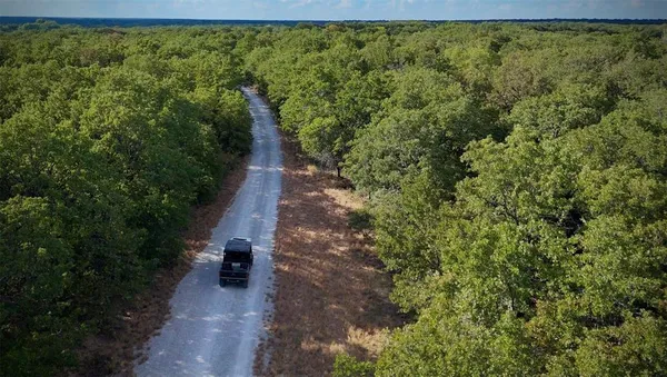 a view of a yard with plants