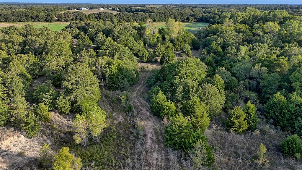 0 Deen Road Bowie, TX 76230 - Photo 12 of 29 an aerial view of residential house with outdoor space and trees all around