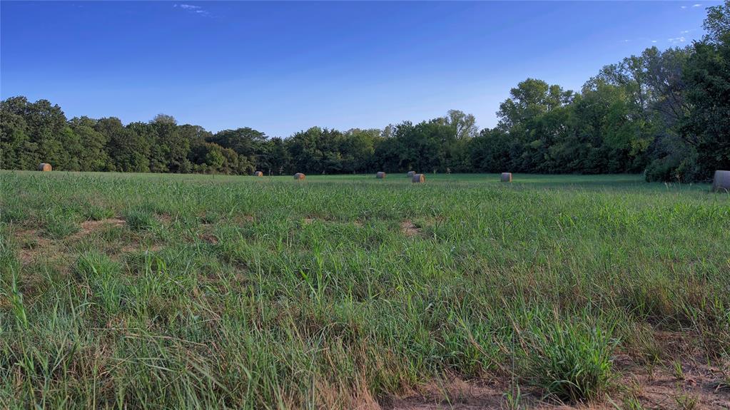0 Deen Road Bowie, TX 76230 - Photo 21 of 29 a view of an outdoor space and a yard