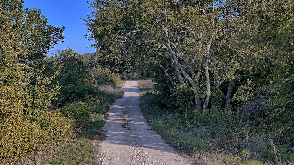 0 Deen Road Bowie, TX 76230 - Photo 25 of 29 a view of a pathway both side of yard