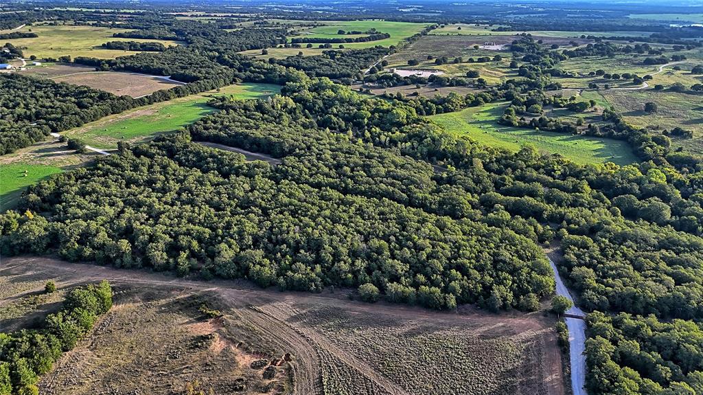0 Deen Road Bowie, TX 76230 - Photo 27 of 29 a view of a garden with an outdoor space