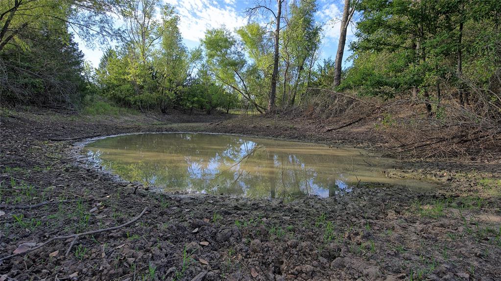 0 Deen Road Bowie, TX 76230 - Photo 29 of 29 a view of a lake with trees in the background