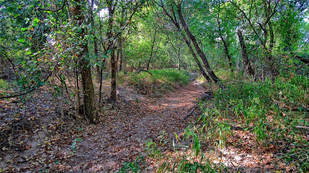 0 Deen Road Bowie, TX 76230 - Photo 3 of 29 a view of a forest with trees in the background