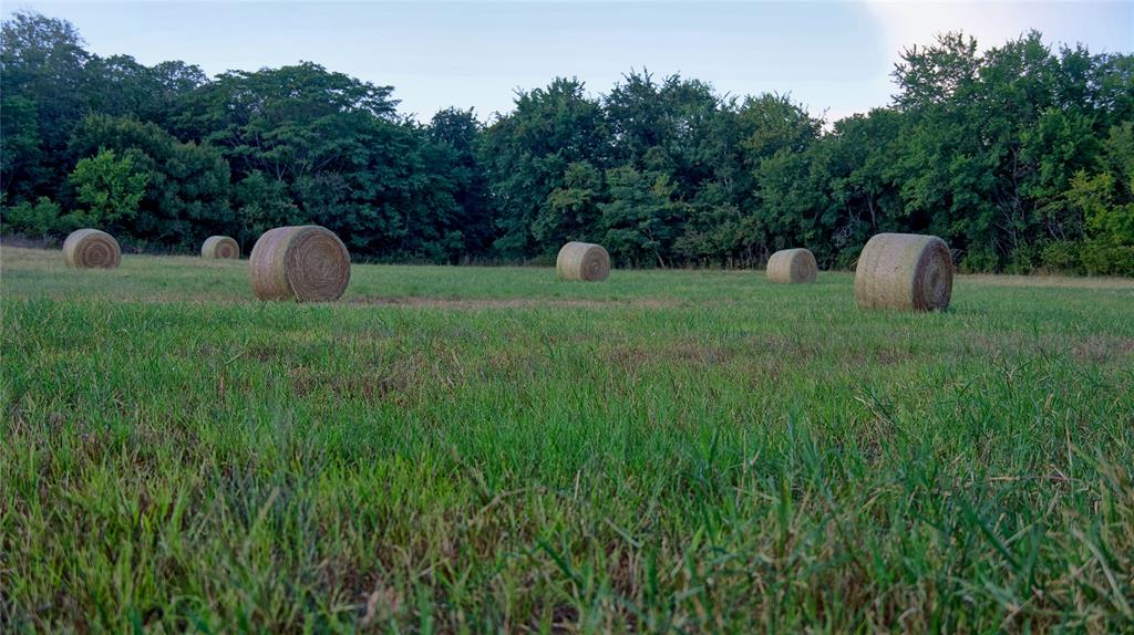 0 Deen Road Bowie, TX 76230 - Photo 8 of 29 a view of a tiny house with a backyard and a tree