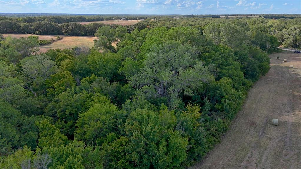 0 Deen Road Bowie, TX 76230 - Photo 10 of 29 a view of a lush green forest with lots of trees