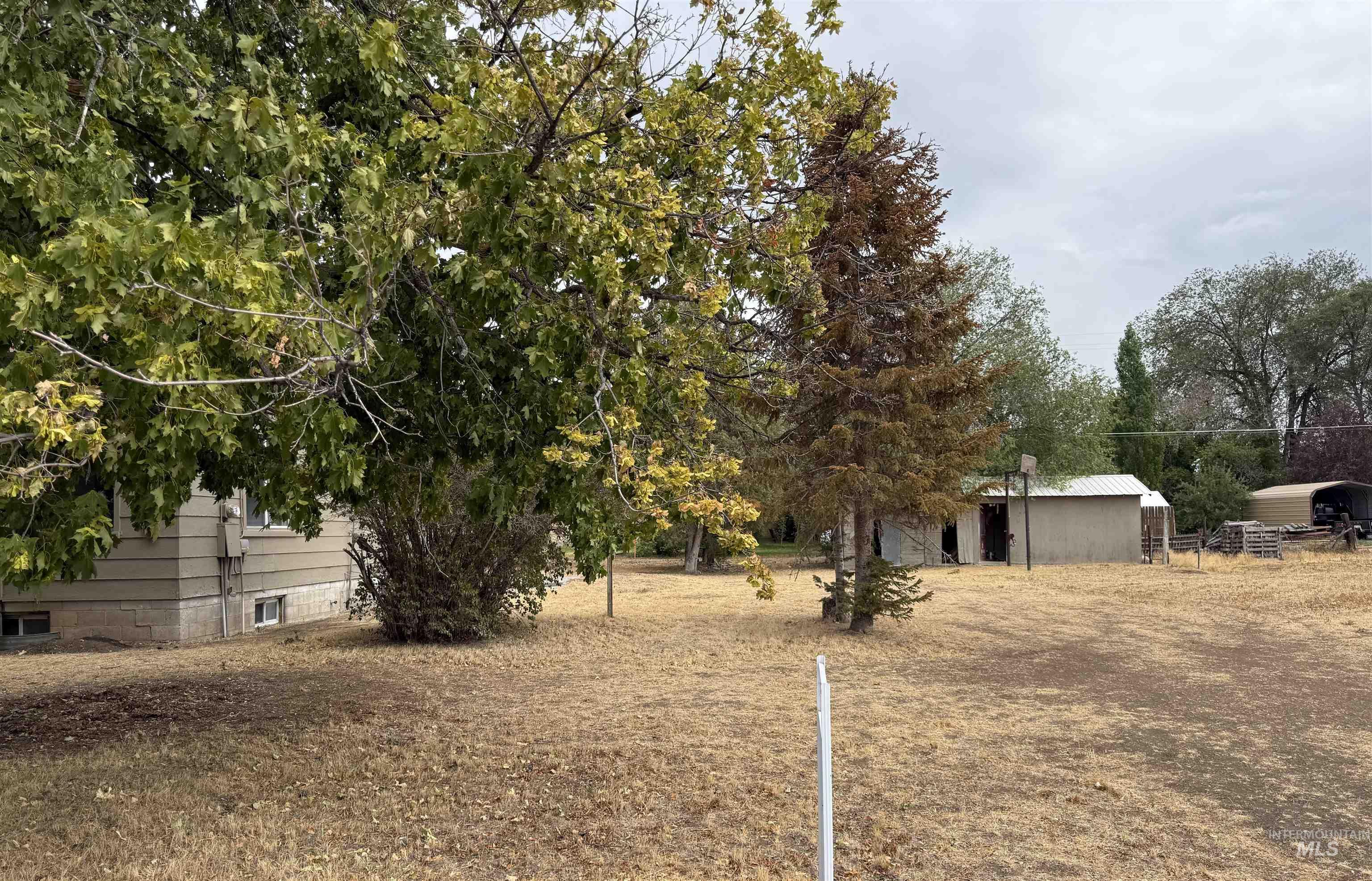 Tbd North Main Street Downey, ID 83234 - Photo 4 of 5 View of yard featuring view of wooded area