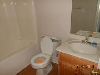 108 Switchboard Road Portland, TN 37148 - Photo 15 of 18 a bathroom with a toilet a sink and a mirror