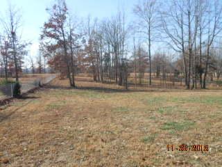 108 Switchboard Road Portland, TN 37148 - Photo 16 of 18 a view of backyard with green space