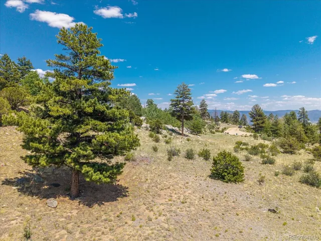 $350,000 | Mountaintop, Buena Vista, CO 81211