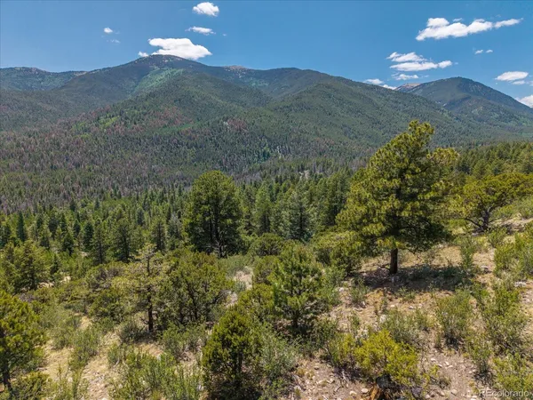 $320,000 | Mountaintop, Buena Vista, CO 81211
