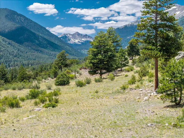 $320,000 | Mountaintop, Buena Vista, CO 81211