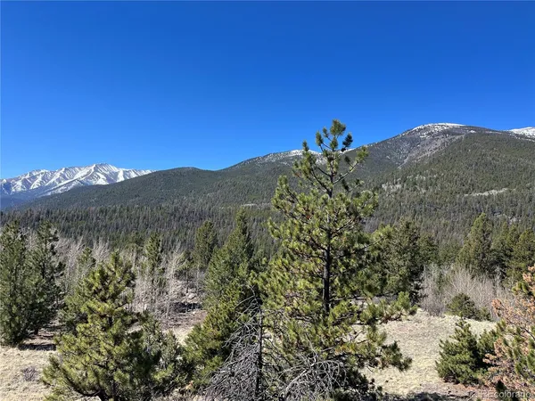 $320,000 | Mountaintop, Buena Vista, CO 81211