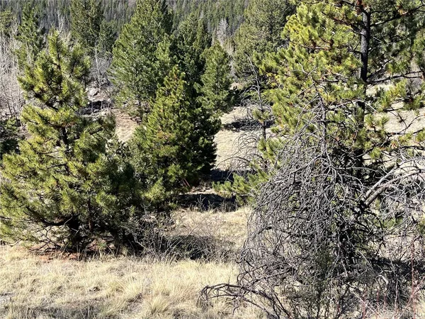 $320,000 | Mountaintop, Buena Vista, CO 81211