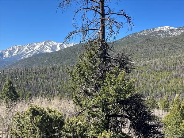 $320,000 | Mountaintop, Buena Vista, CO 81211