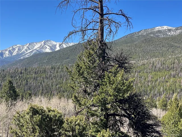 $350,000 | Mountaintop, Buena Vista, CO 81211