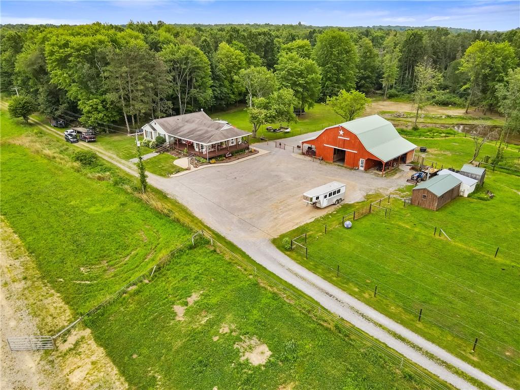 a view of a park with large trees