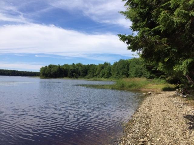 15 Union River Road Mariaville, ME 04605 - Photo 3 of 41 IMG_1351