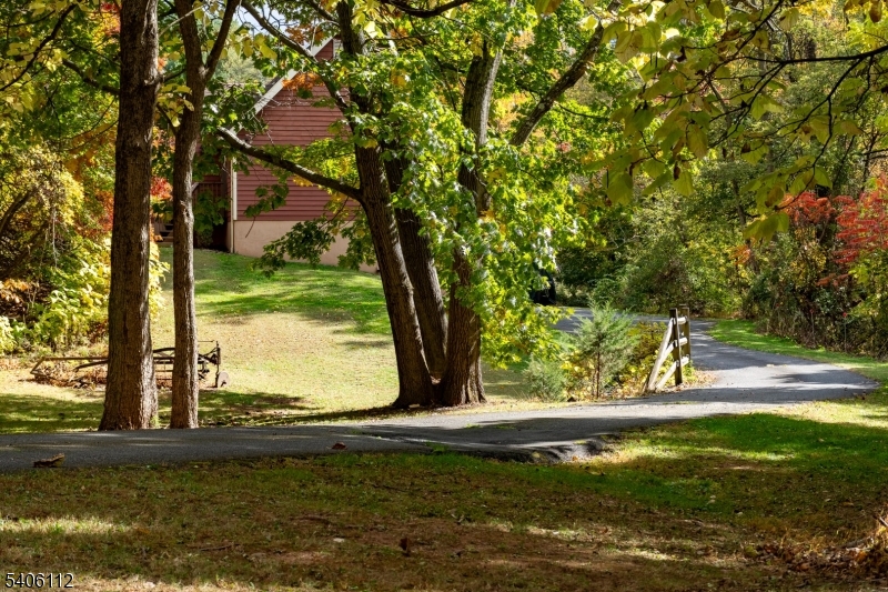 9 Wayside Lane Lebanon, NJ 08833 - Photo 32 of 40 a view of a tree with a yard