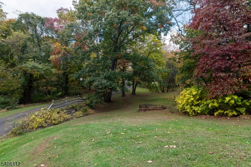 9 Wayside Lane Lebanon, NJ 08833 - Photo 33 of 40 a view of a lush green forest