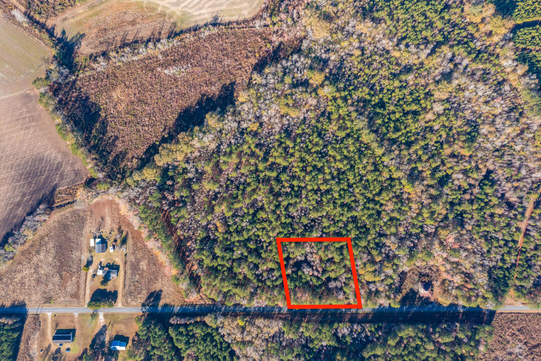 0 St Mark Bowman Road St. George, SC 29477 - Photo 5 of 10 9