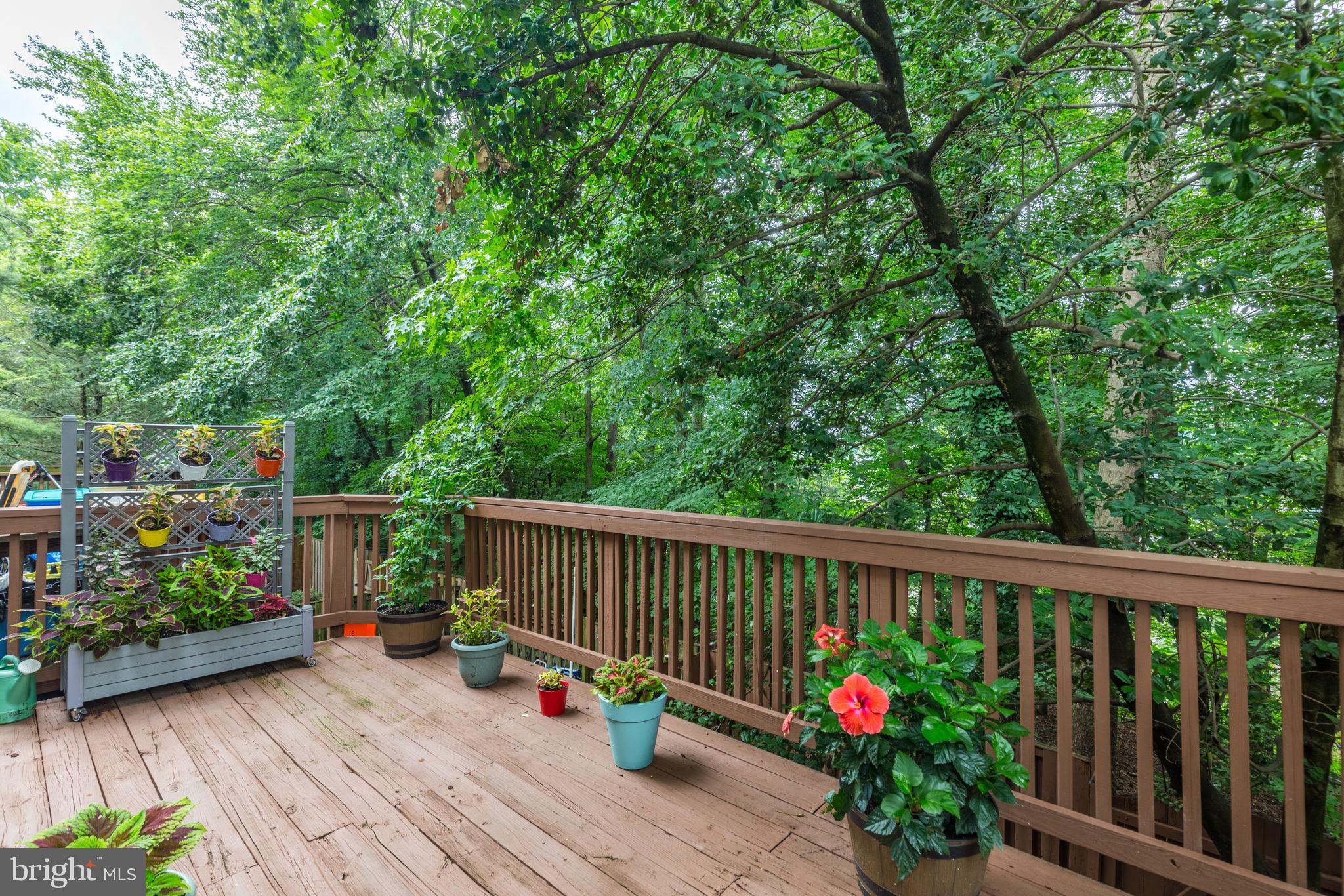 14523 Cambridge Circle Laurel, MD 20707 - Photo 13 of 39 Deck surrounded by nature