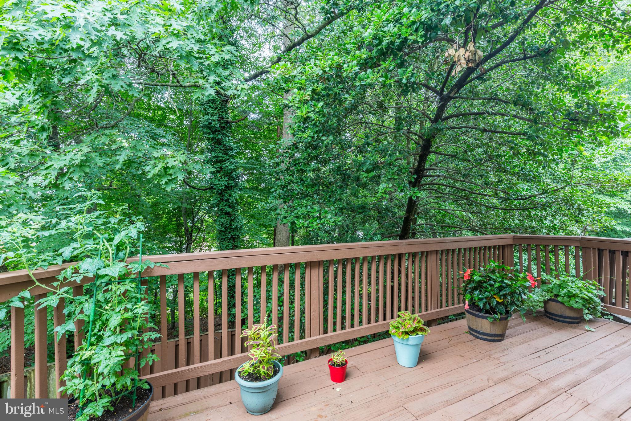14523 Cambridge Circle Laurel, MD 20707 - Photo 14 of 39 Deck surrounded by lush trees