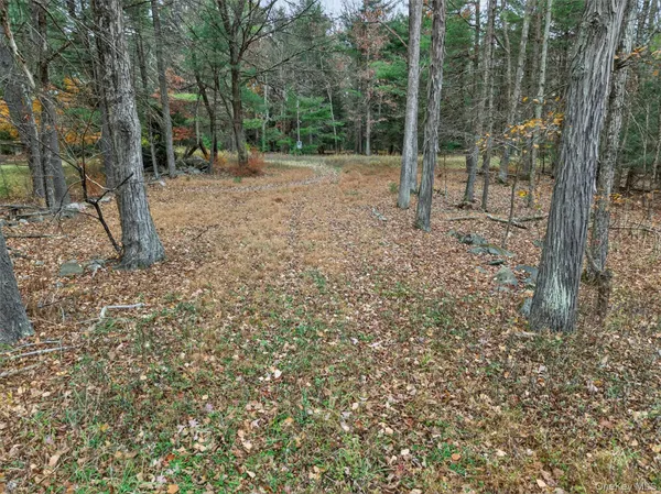 $99,000 | 742 Peenpack Trail, Sparrowbush, NY 12780