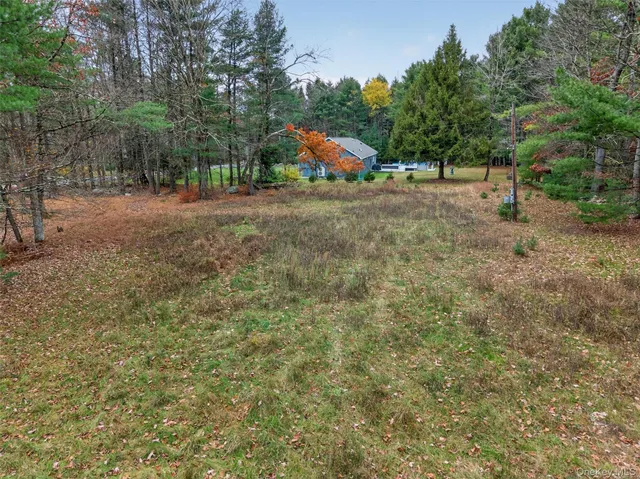 a view of outdoor space with playground and green space