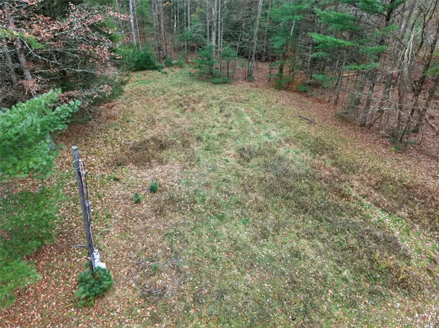 a big yard with lots of green space and plants