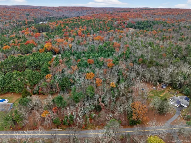 a view of city and mountain