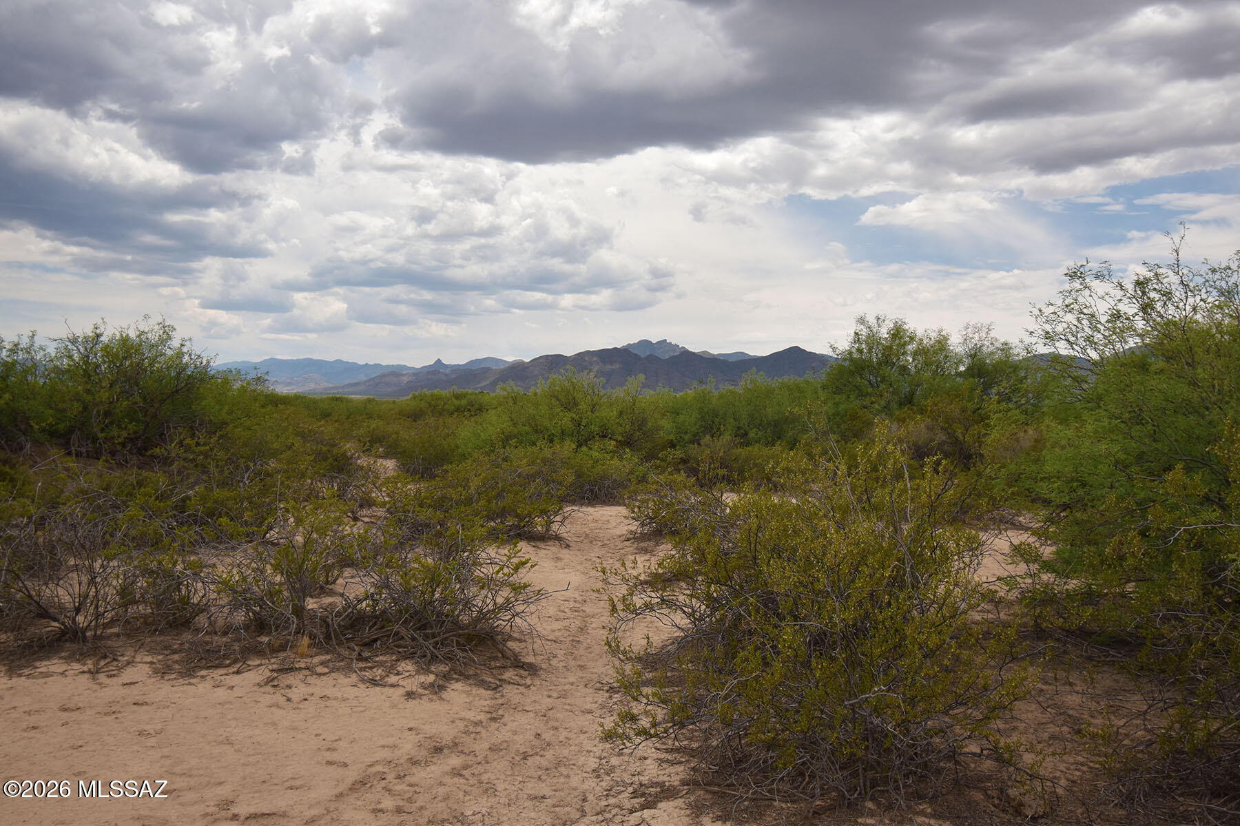 40.7-ac North Parker Road San Simon, AZ 85632 - Photo 7 of 24