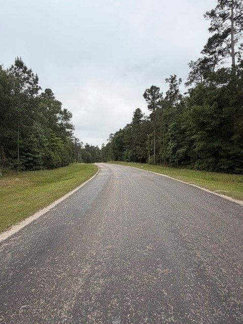 Tbd Texas Grand Road Huntsville, TX 77340 - Photo 2 of 8