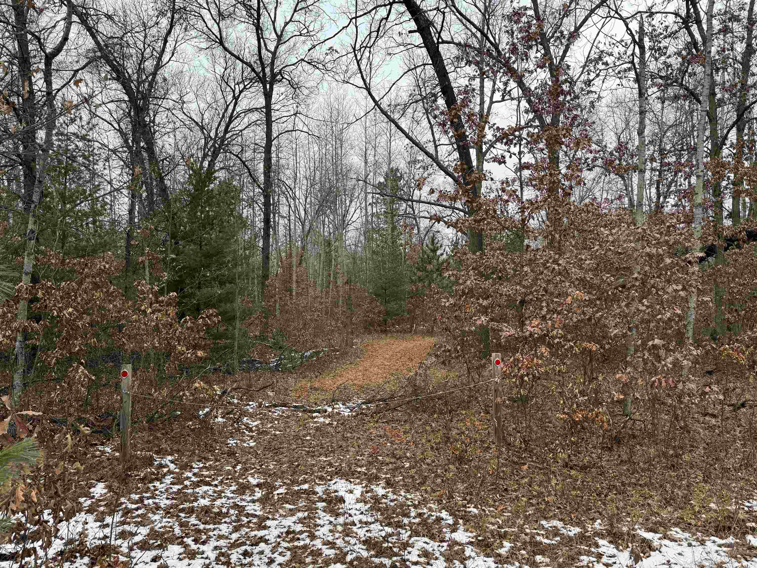 0 Lagrant Road Sterling, MI 48659 - Photo 23 of 31