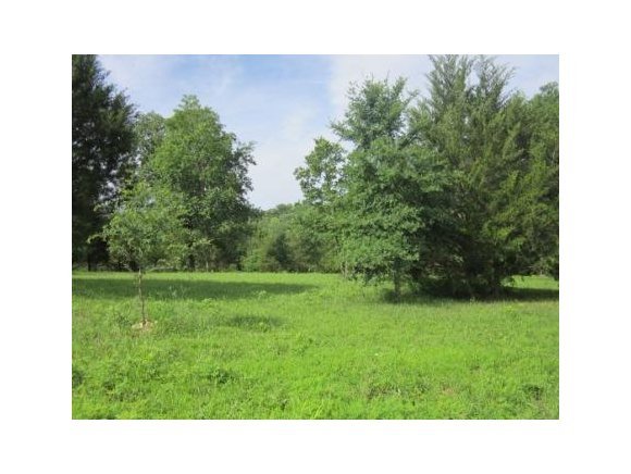 Lot 1 Sturgis Ln Branson Lane Reeds Spring, MO 65737 - Photo 1 of 1 Primary Photo