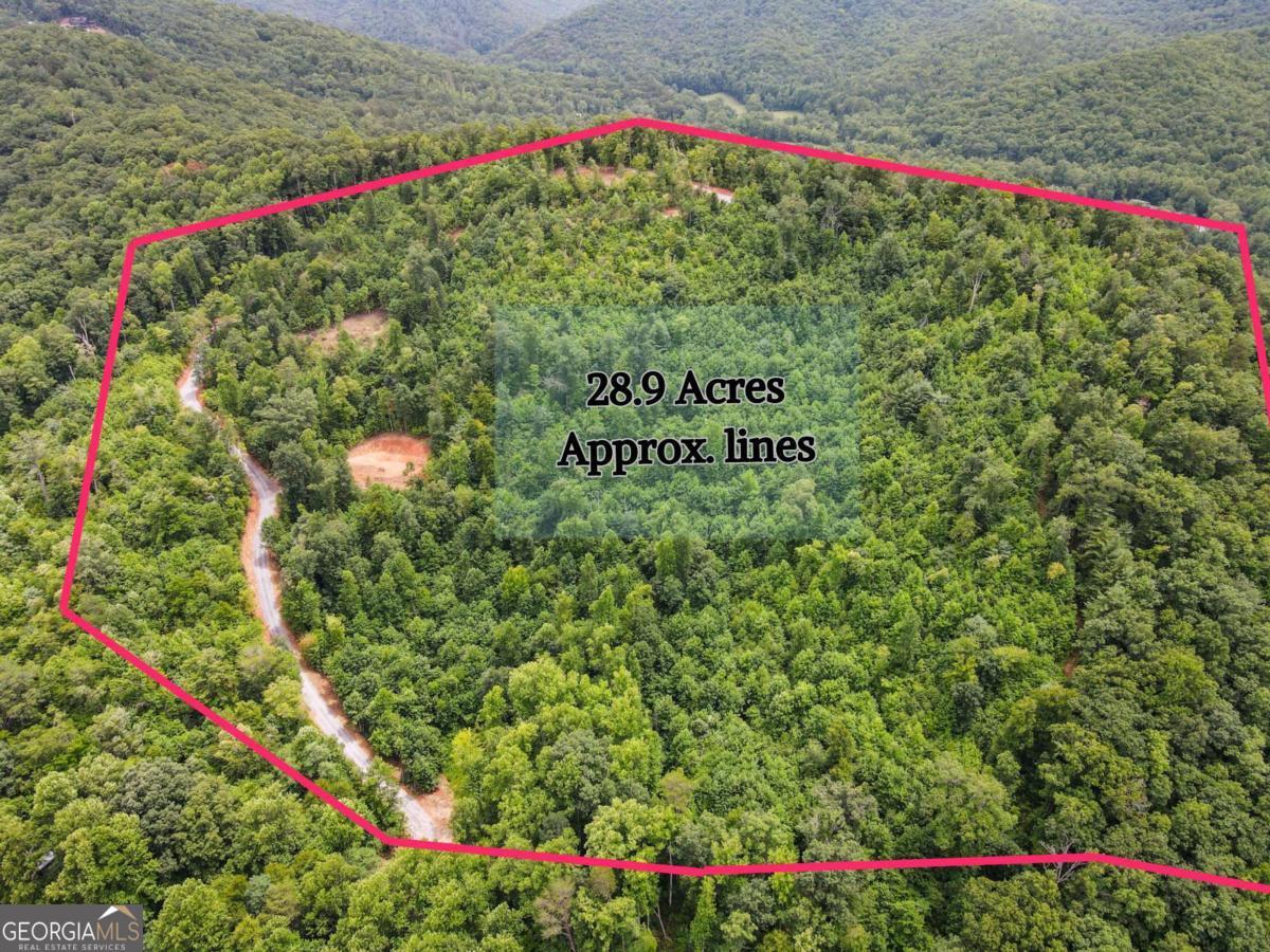 28.90 Tom Wheeler Road Hiawassee, GA 30546 - Photo 1 of 1 Gallery Image 1