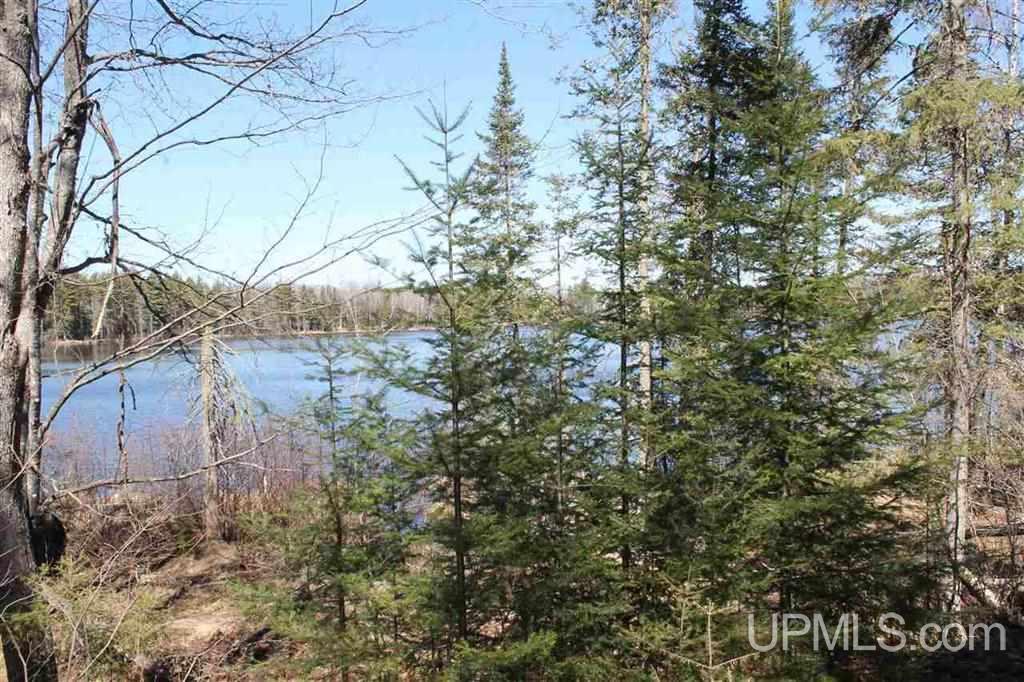 Tbd West Paint Lake Road, Unit J Iron River, MI 49935 - Photo 16 of 17