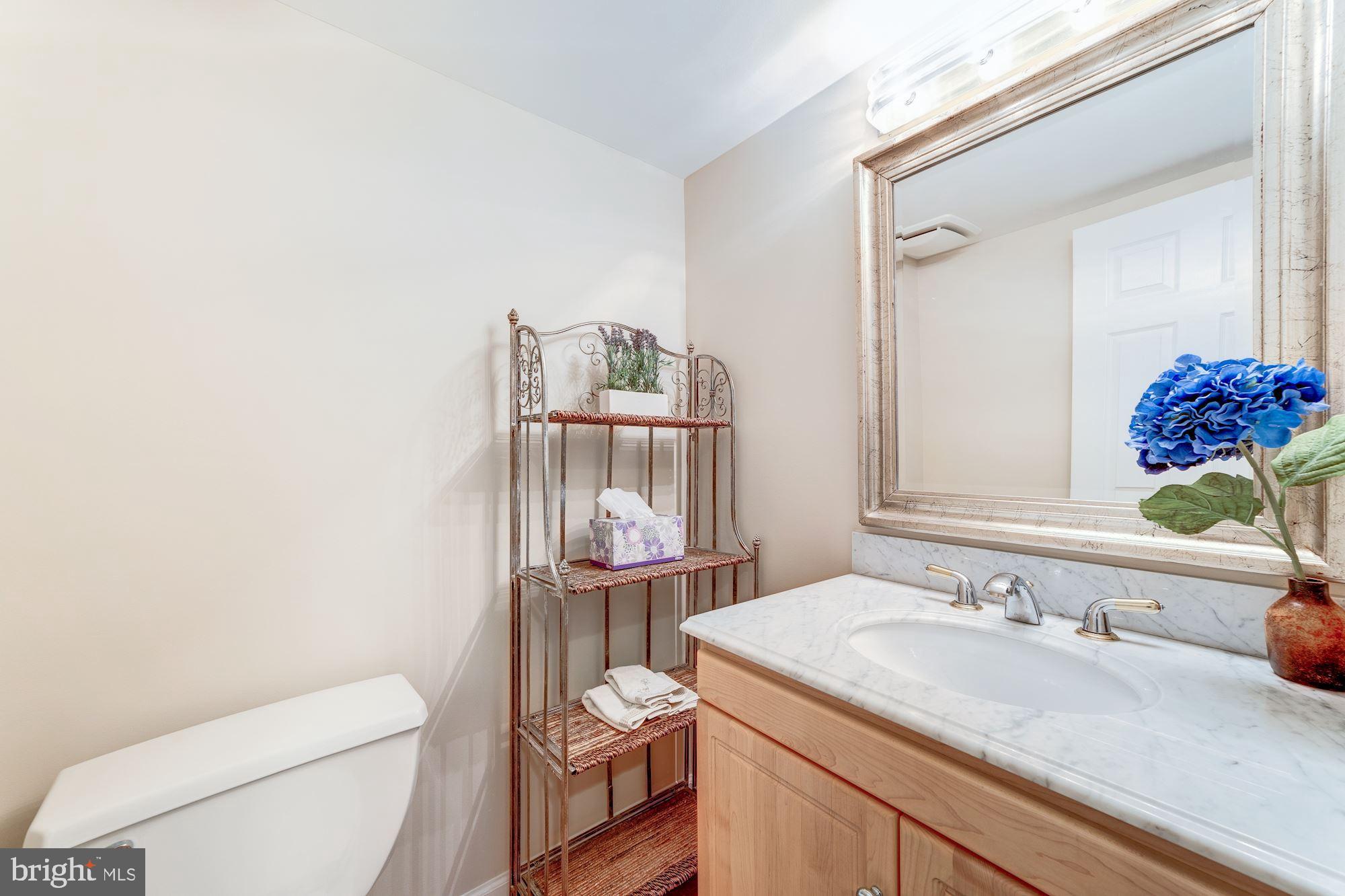 9116 Rockefeller Lane Springfield, VA 22153 - Photo 30 of 56 Main floor powder room