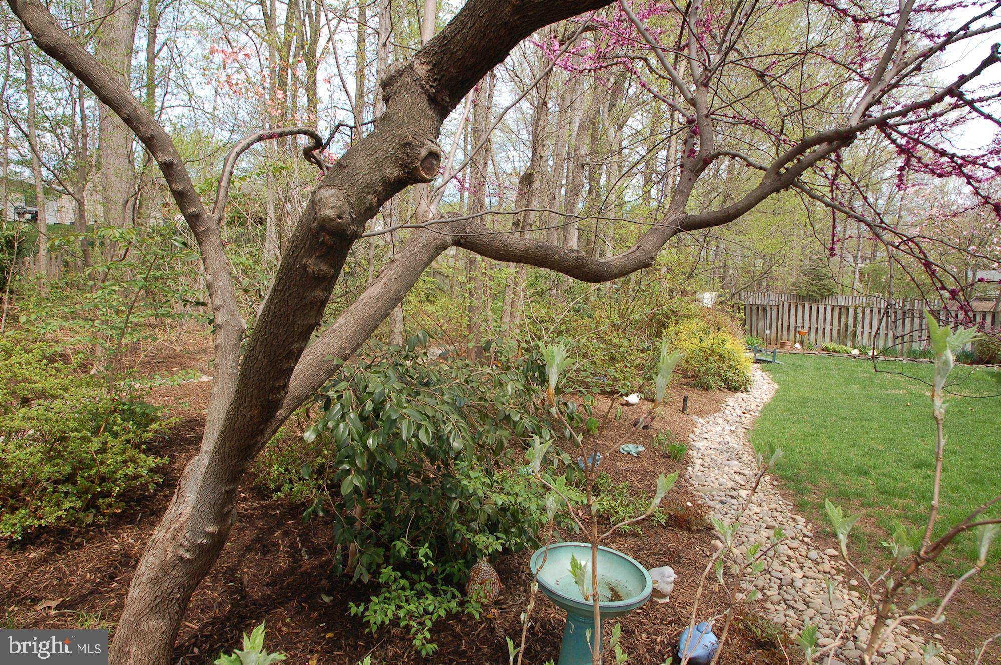 9116 Rockefeller Lane Springfield, VA 22153 - Photo 49 of 56 Underground sprinkler system installed