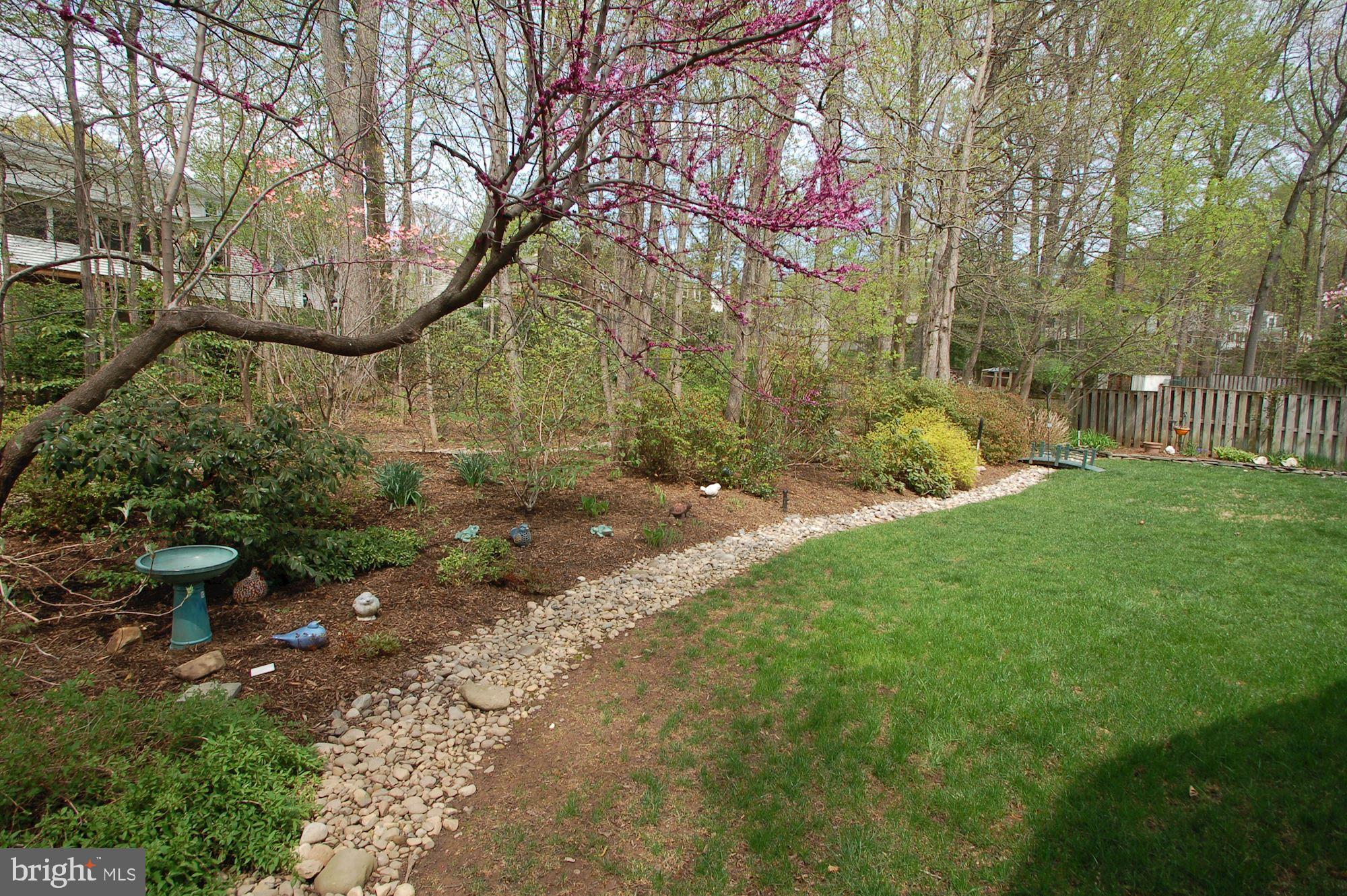 9116 Rockefeller Lane Springfield, VA 22153 - Photo 51 of 56 Backyard in Spring