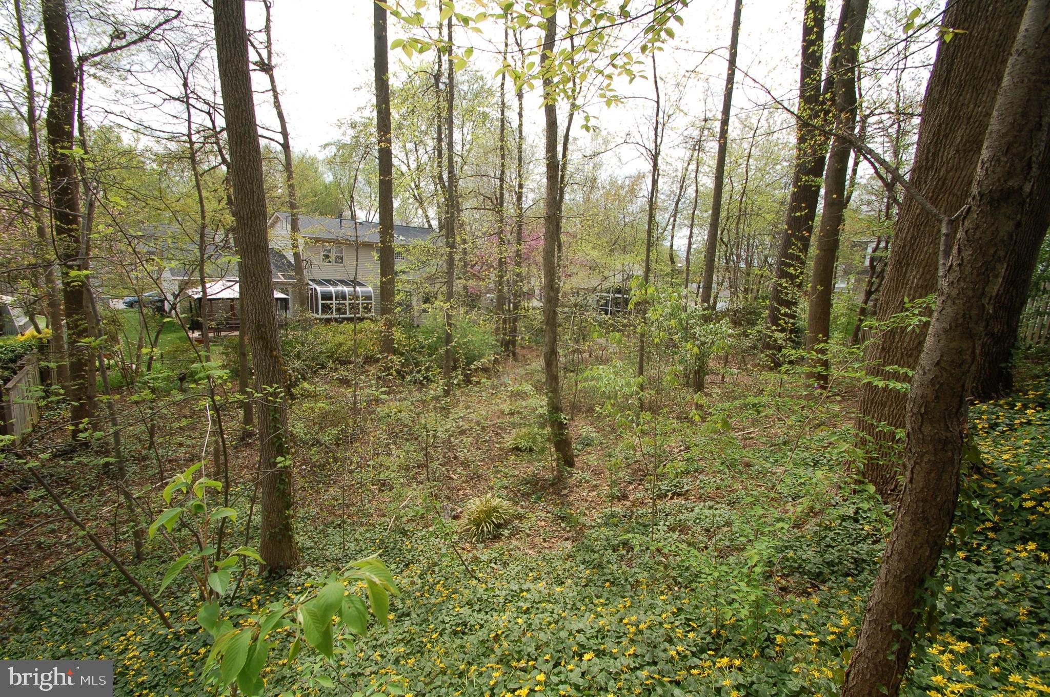9116 Rockefeller Lane Springfield, VA 22153 - Photo 52 of 56
