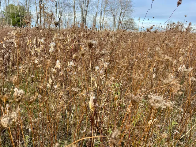 $225,000 | 473 Mt View Road, Thorndike, ME 04986