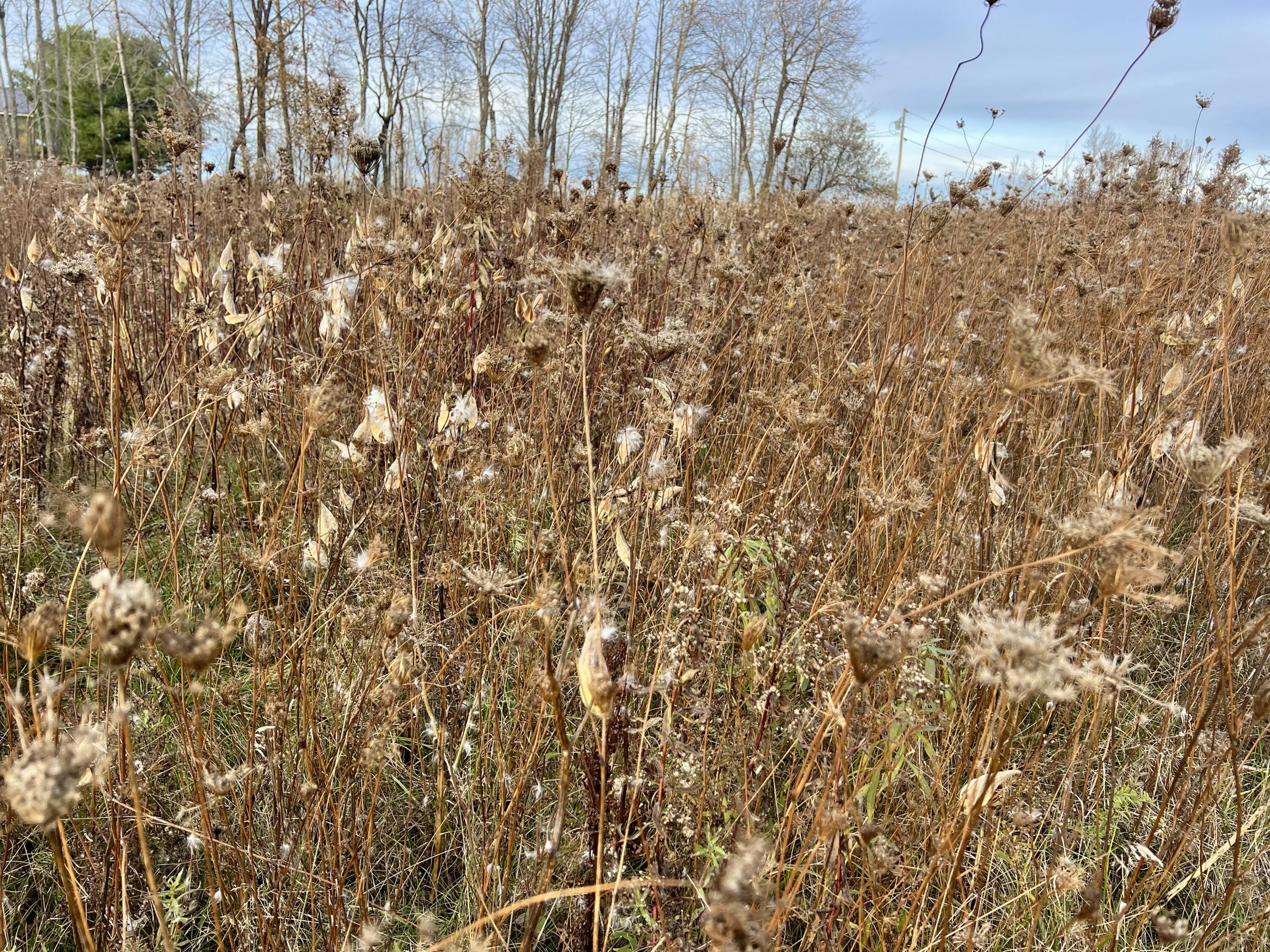 473 Mt View Road Thorndike, ME 04986 - Photo 26 of 60 IMG_7116