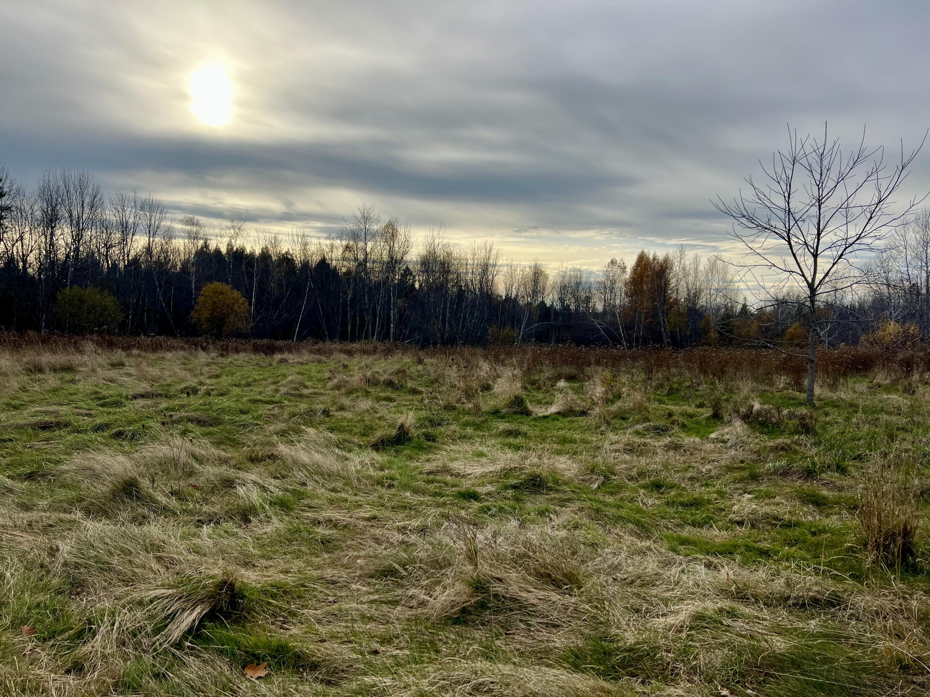 473 Mt View Road Thorndike, ME 04986 - Photo 28 of 60 IMG_7098