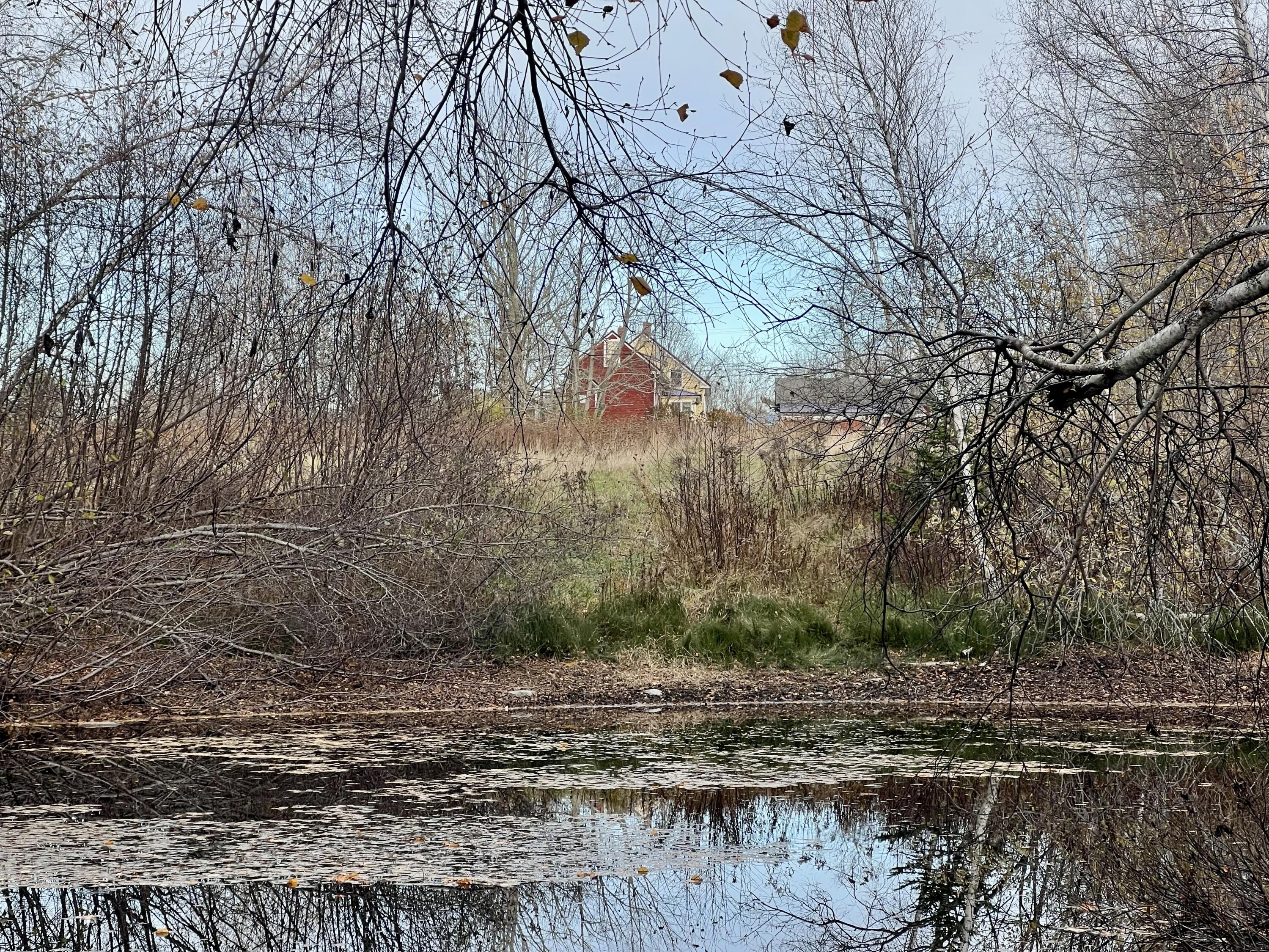 473 Mt View Road Thorndike, ME 04986 - Photo 3 of 60 IMG_7112