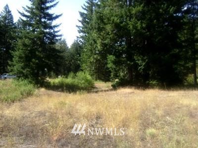 -3xx Evergreen Valley Loop Road Ronald, WA 98940 - Photo 1 of 1 Gallery Image 1