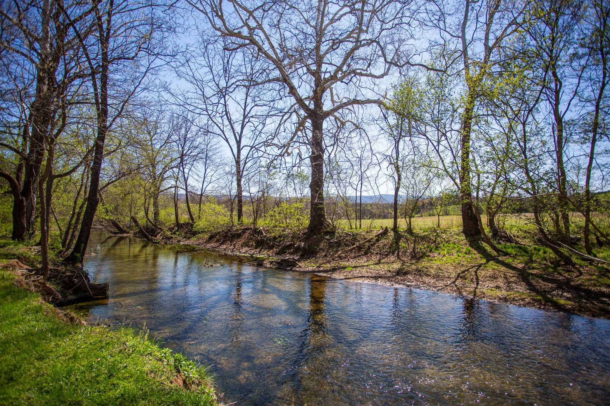 13004 Indian Trail Road Broadway, VA 22815 - Photo 51 of 56 a view of a lake with trees