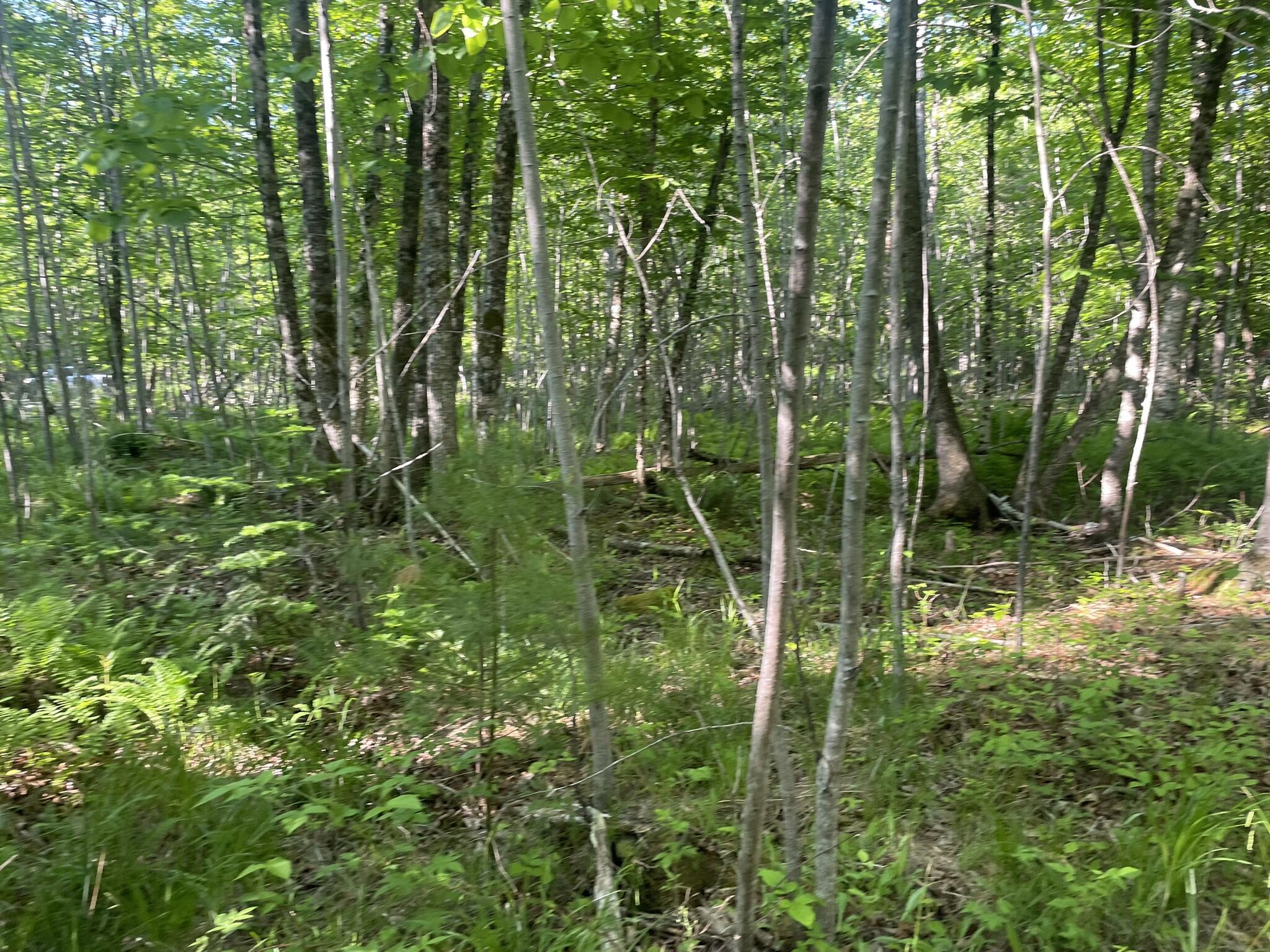 0 Macomber Road Readfield, ME 04355 - Photo 29 of 61 IMG_5664