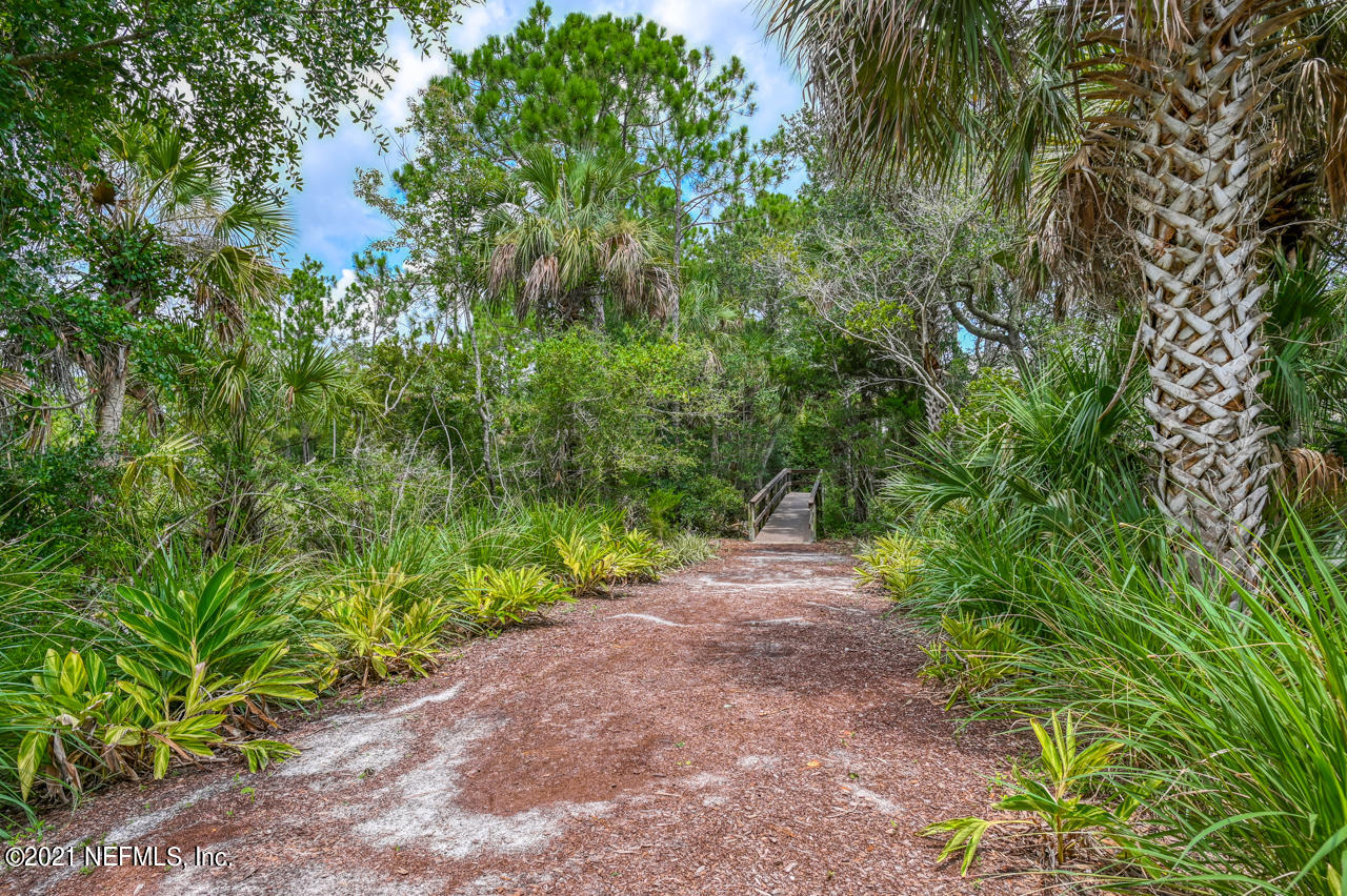 3400 Haley Pointe Road St. Augustine, FL 32084 - Photo 34 of 41 a view of a yard with plants and large trees